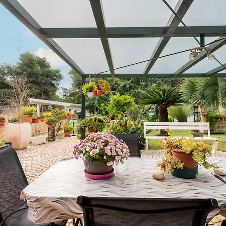 Bed and Breakfast Paradise