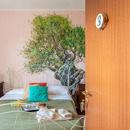 Paradise Bed and Breakfast